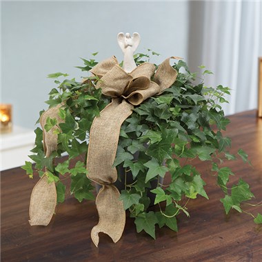 Angel Prayers Memorial Garden